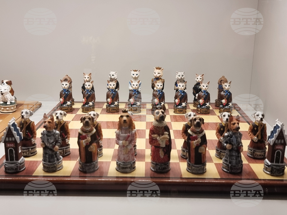 Турция - Музей на шаха „Гьокяй“