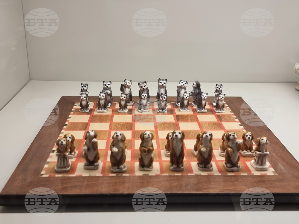 Турция - Музей на шаха „Гьокяй“