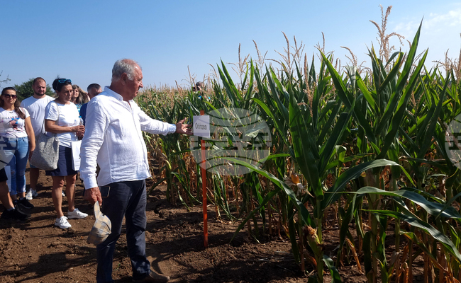 Разград - Лозница - Ден на царевицата