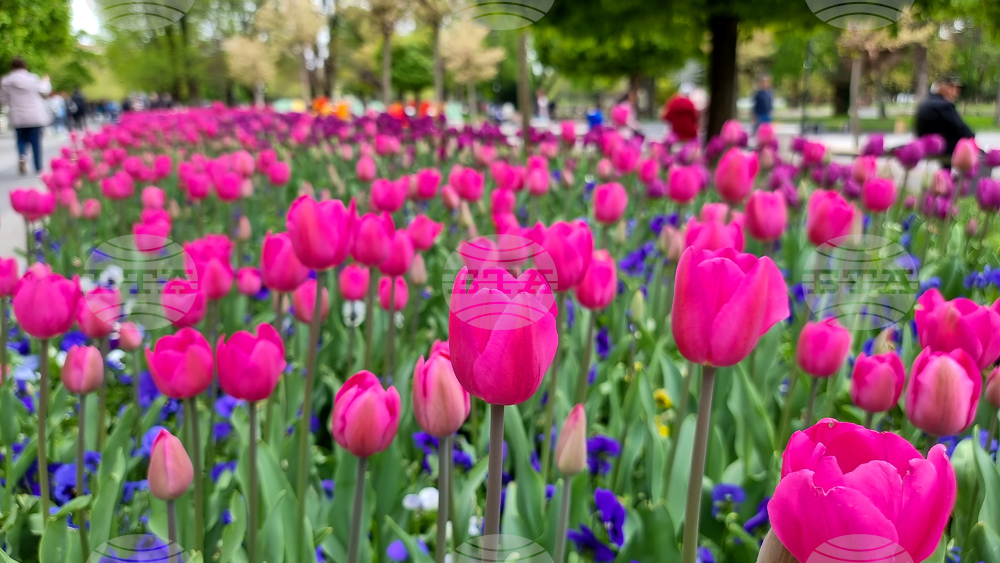 The Weather on April 27