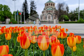 Плевен - хубаво време