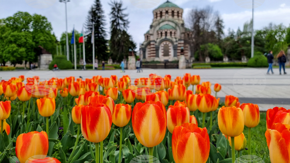 Плевен - хубаво време