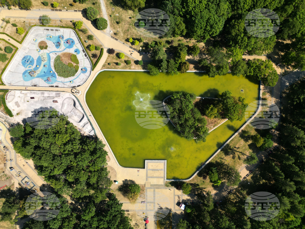 Северен парк - изглед