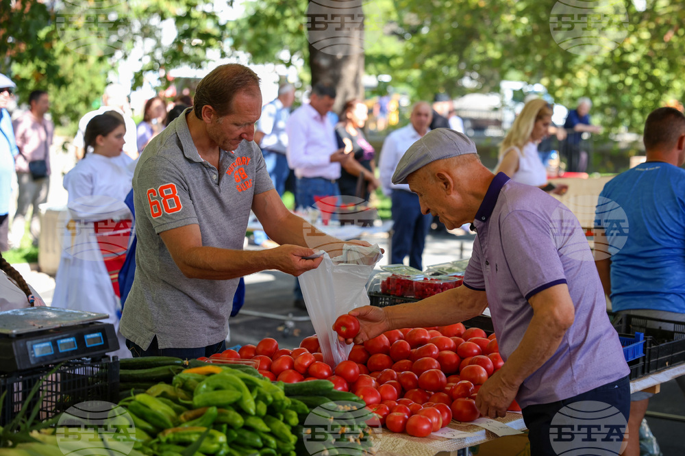 Annual Inflation Halves to 6.3% in September Y/Y; Consumer Prices Still Rise
