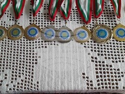 Снимка: Община Ловеч 