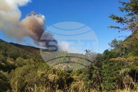 Село Забърдо - горски пожар