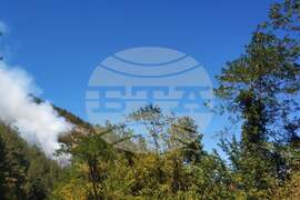 Село Забърдо - горски пожар