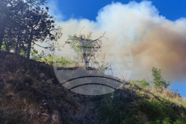 Село Забърдо - горски пожар