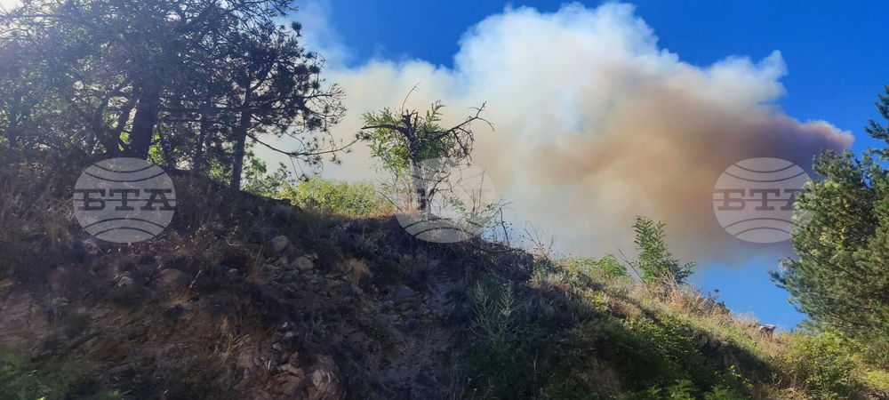 Село Забърдо - горски пожар