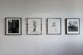 Созопол - Аполония - изложби - откриване