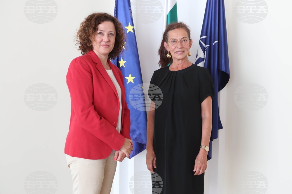 Deputy Foreign Minister Dimitrova Confers with German Ambassador Plank