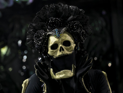 Brazil Carnival