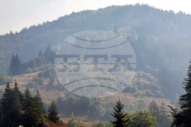 Родопи - пожар