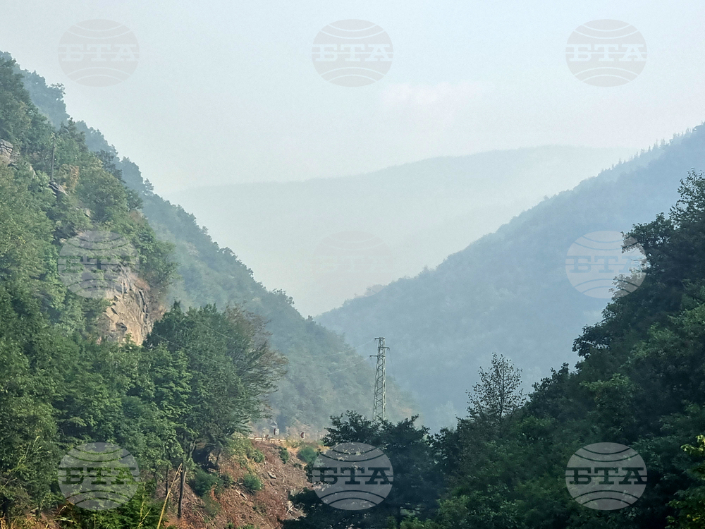 Родопи - пожар