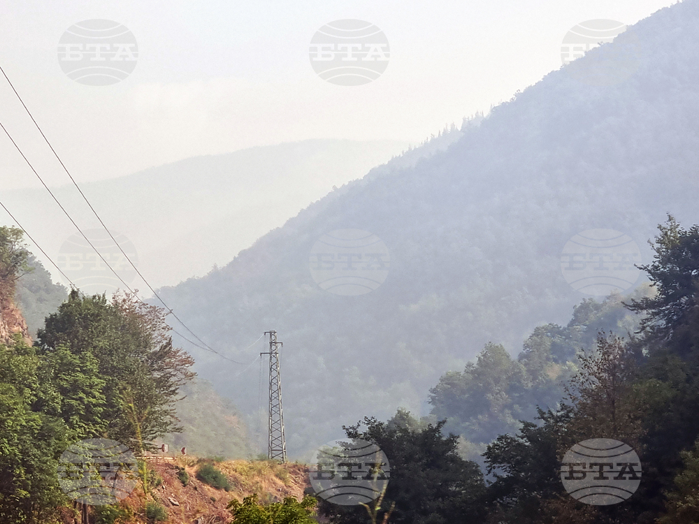 Родопи - пожар