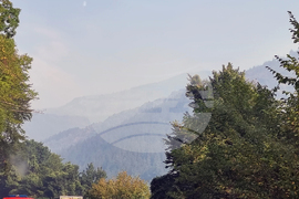 Родопи - пожар