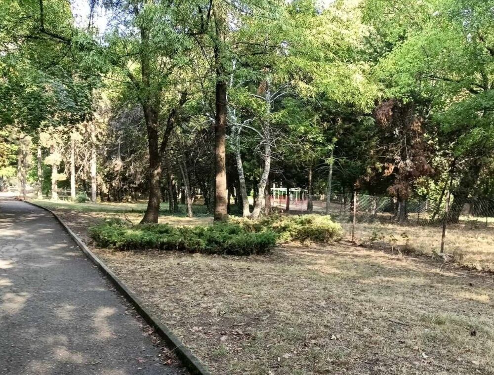 Община Плевен ще участва в подготовката и изпълнението на „Стратегия „Единно здраве“ за Северозападен регион“