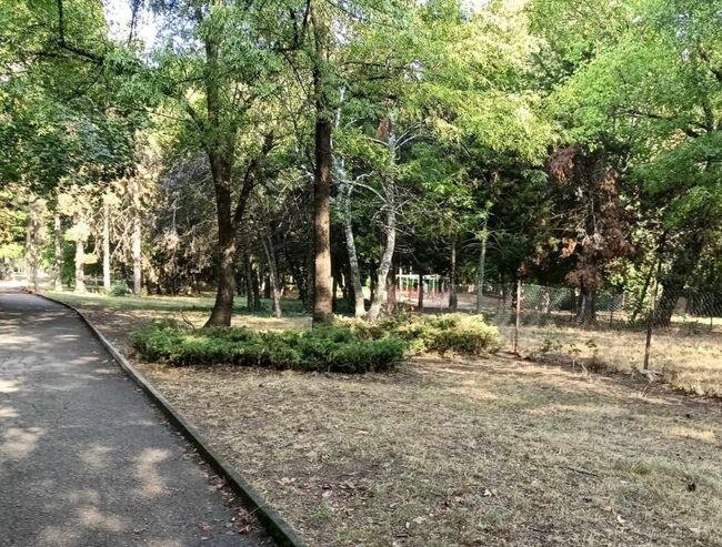 Община Плевен ще участва в подготовката и изпълнението на „Стратегия „Единно здраве“ за Северозападен регион“