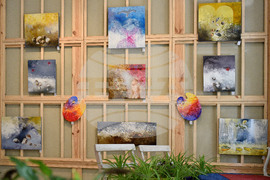 Варна - изложба - Стефан Хаджи-Николов