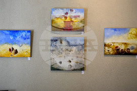 Варна - изложба - Стефан Хаджи-Николов