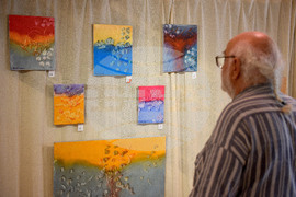 Варна - изложба - Стефан Хаджи-Николов