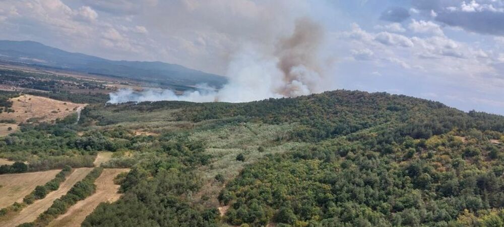 Partial State of Disaster over Forest Fires Declared in Four Municipalities in S Bulgaria
