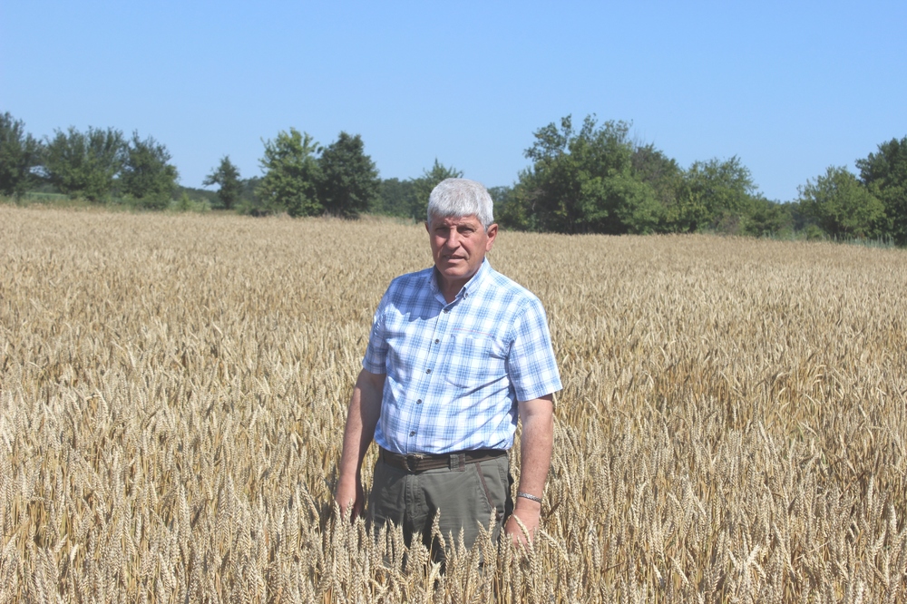 Няколко милиарда лева харчи България всяка година за внос на семена, рискуваме да се превърнем в пущинак при една криза