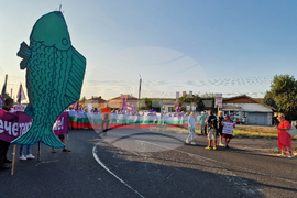 Село Поповица - протест