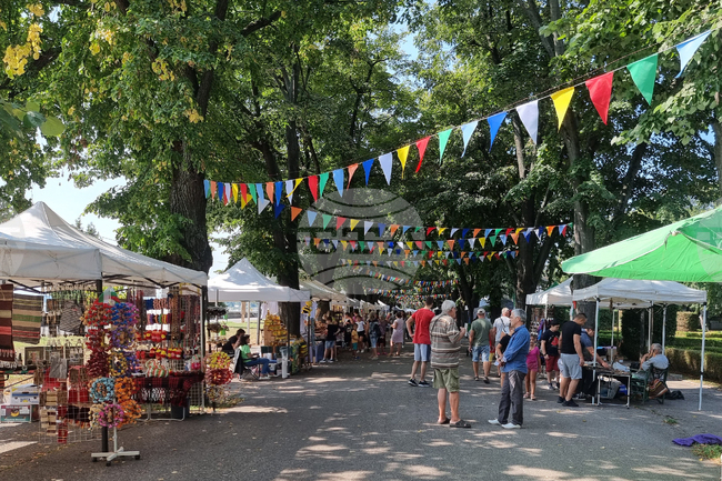 Видин - занаятчийски базар - МФФ Синия Дунав