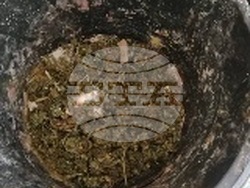 Снимка: МВР