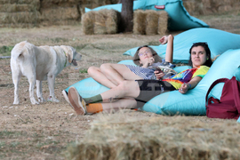 Фестивал - "Реките на София"