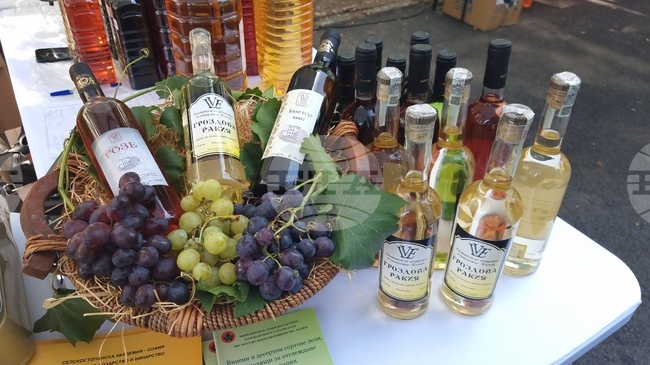  Плевен - винарско изложение - откриване