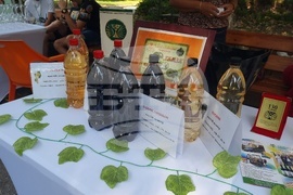 Плевен - винарско изложение - откриване