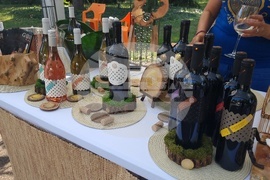 Плевен - винарско изложение - откриване