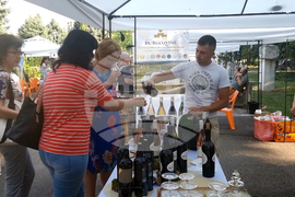 Плевен - винарско изложение - откриване