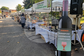 Плевен - винарско изложение - откриване