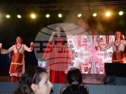 Снимка: Община Видин