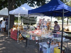 Снимка: Община Видин