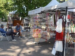 Снимка: Община Видин