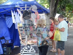 Снимка: Община Видин