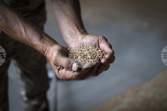 Русия и САЩ се очаква да обсъдят възобновяване на черноморската зърнена сделка, според Кремъл