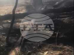 Снимка: Министерство на земеделието и храните 