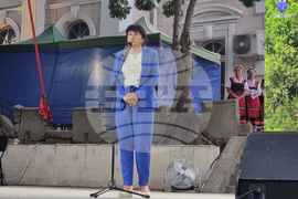 Видин - фестивал „Синия Дунав“