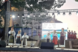 Видин - фестивал „Синия Дунав“