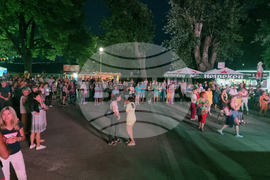 Видин - фестивал „Синия Дунав“