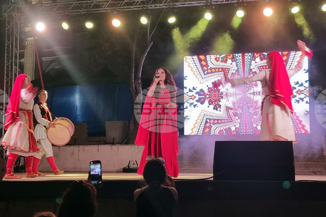 Видин - фестивал „Синия Дунав“