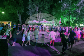 Видин - фестивал „Синия Дунав“