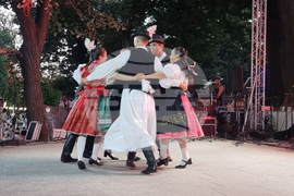 Видин - фестивал „Синия Дунав“