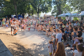 Видин - фестивал „Синия Дунав“