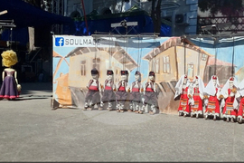 Видин - фестивал „Синия Дунав“